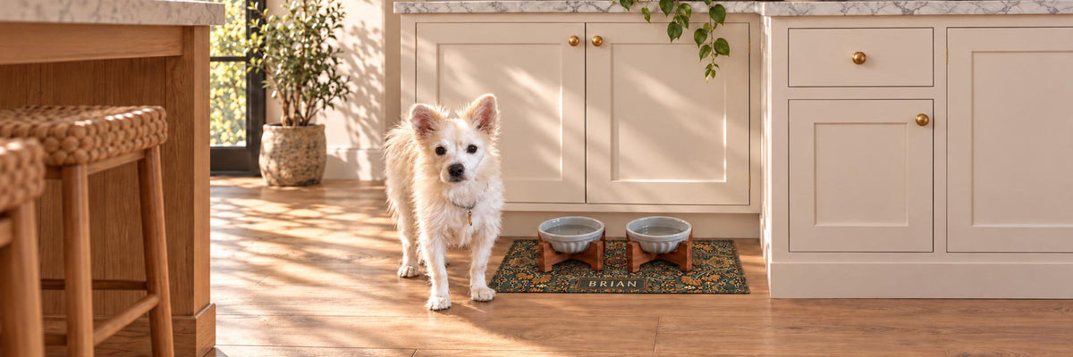 Washable Dog Bowl Mats