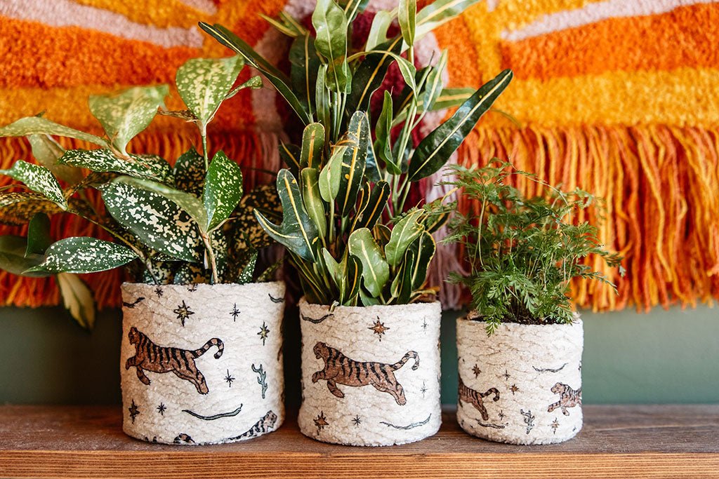 Plant Cozies - MissionMae