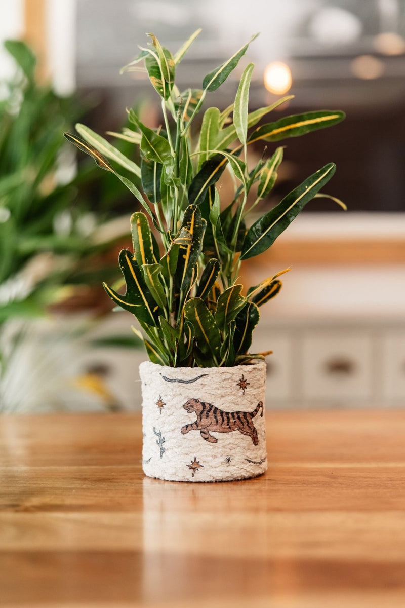 decorative fabric plant pots Fabric Planter - Handmade Boho Plant Pot