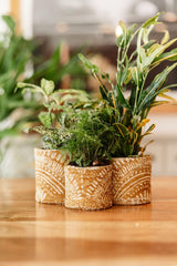 Fabric Planter | Handmade Soft Chenille Plant Pot Cozy - Premium Indoor Decor - MissionMae
