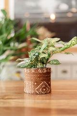 Fabric Planter - Handmade Soft Chenille Pot | Boho Plant Pot Cozy - MissionMae