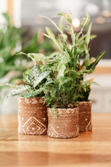 Fabric Planter - Handmade Soft Chenille Pot | Boho Plant Pot Cozy - MissionMae